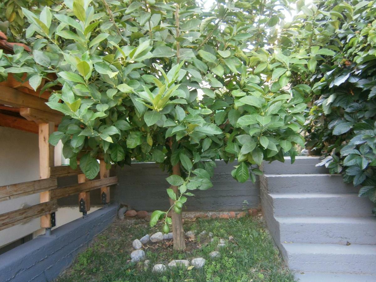 Green Garden Kavala Exterior photo